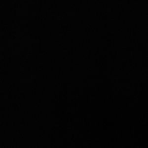 Meet your Posher, Leila